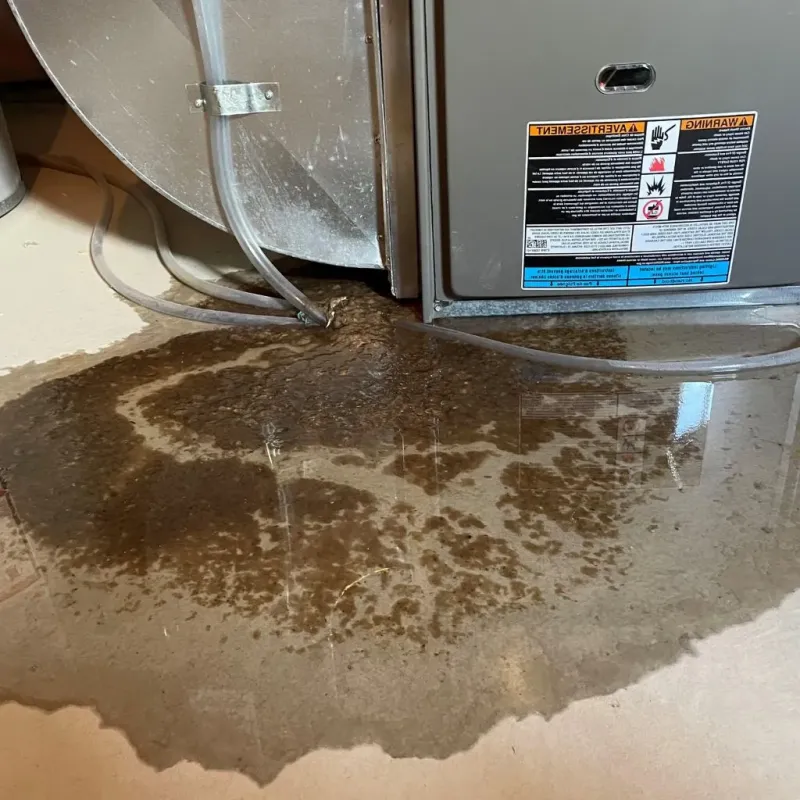 Pipe Burst and Leak Restoration in Harbor Hills, OH
